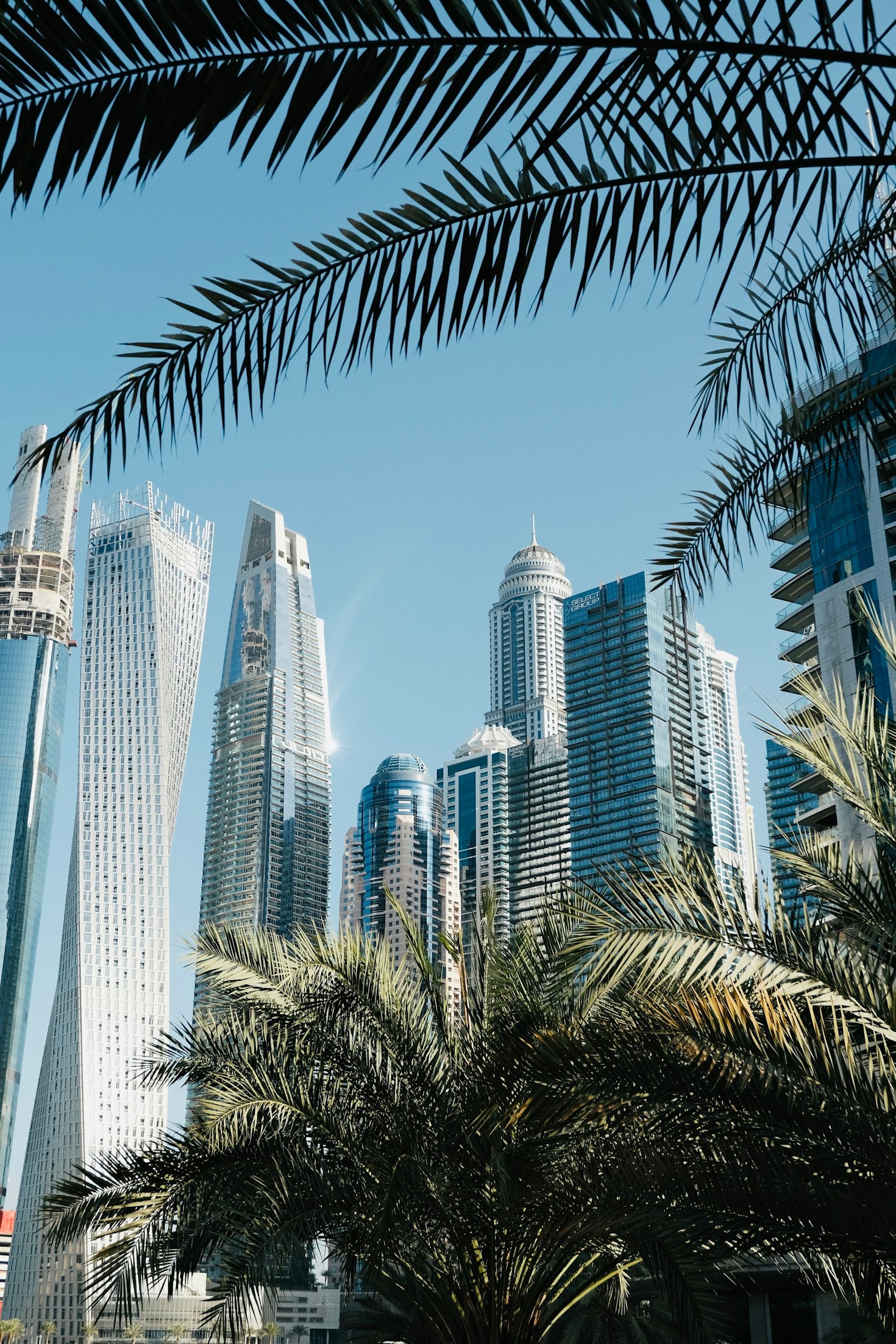 5 Key Strategies for Scaling Your Brand in the UAE